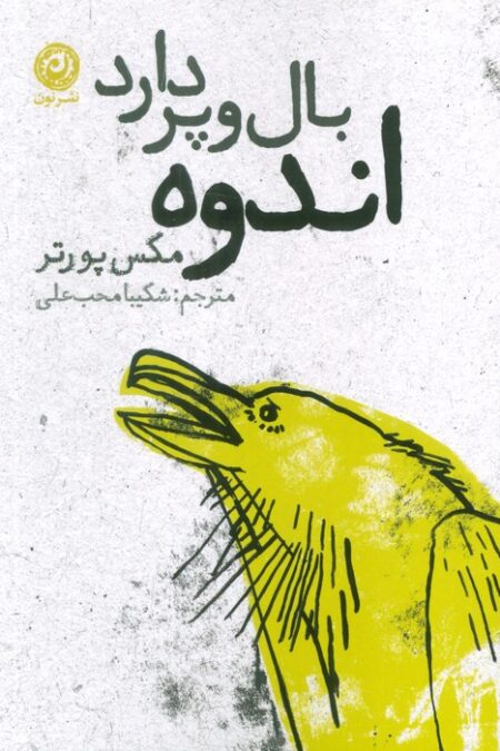 اندوه بال و پر دارد