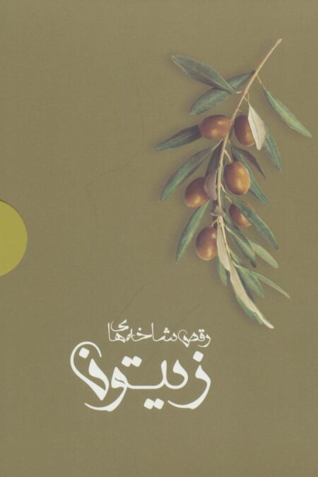 رقص شاخه های زیتون (4جلدی،باجعبه)