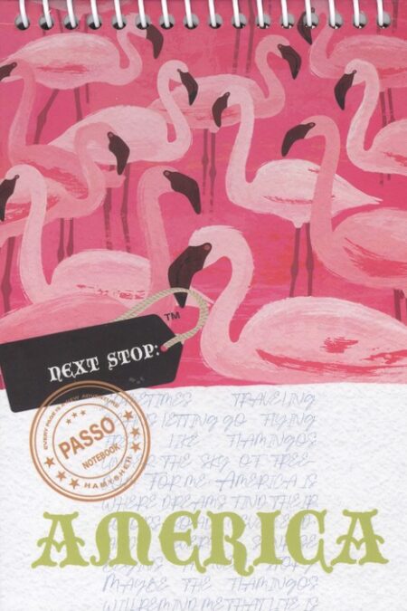 دفتر یادداشت خط دار پاسو (PASSO،کد 688)،(سیمی)