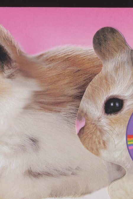 ببین چه نرمه موهام (حس می کنم،لمس می کنم:خرگوش)