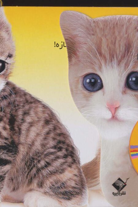 پیشی پیشی جان چه نازی (حس می کنم،لمس می کنم:گربه)،(گلاسه)