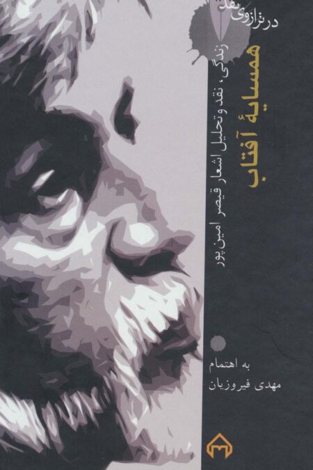 همسایه آفتاب:زندگی،نقد و تحلیل اشعار قیصر امین پور (در ترازوی نقد18)